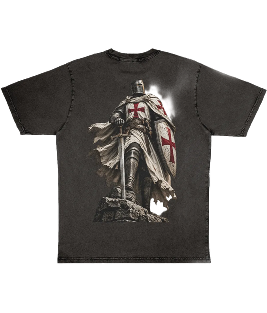 The Last Templar
